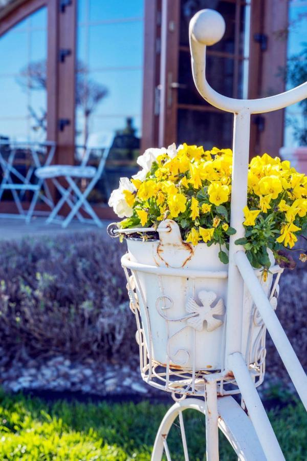 Feniks Agro&Spa Adults Only Świnoujście Εξωτερικό φωτογραφία