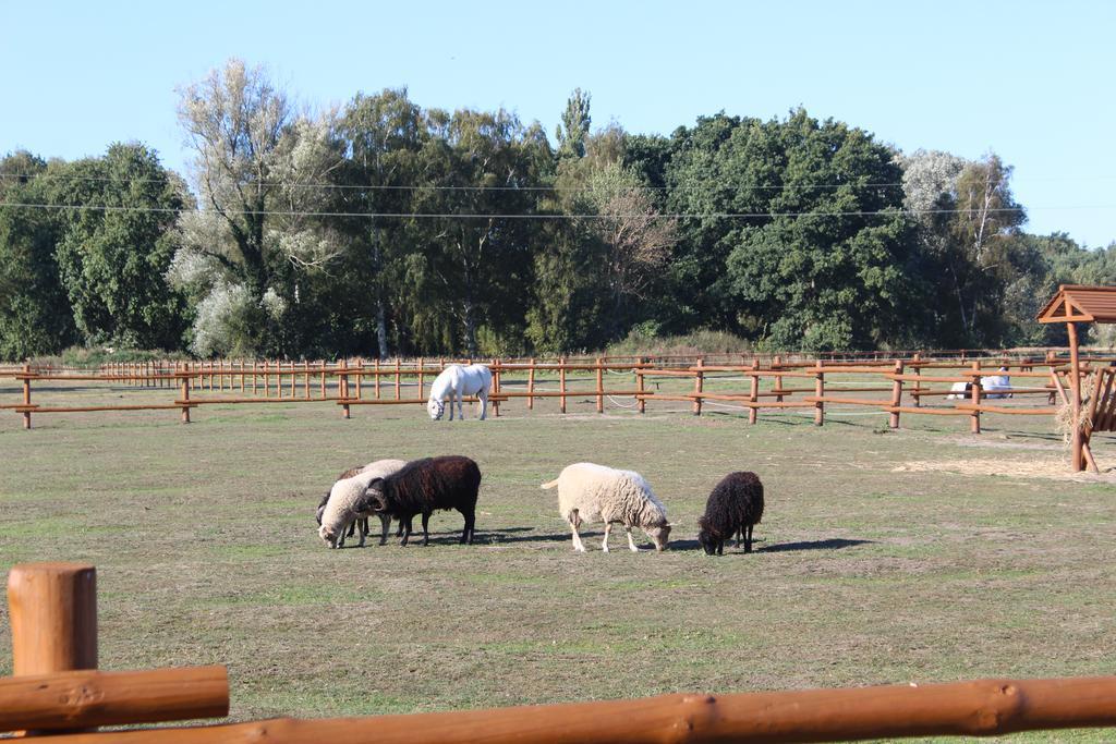 Feniks Agro&Spa Adults Only Świnoujście Εξωτερικό φωτογραφία