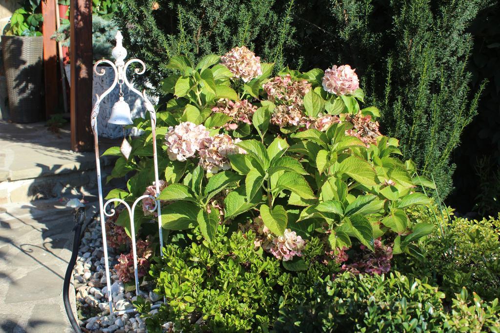 Feniks Agro&Spa Adults Only Świnoujście Εξωτερικό φωτογραφία