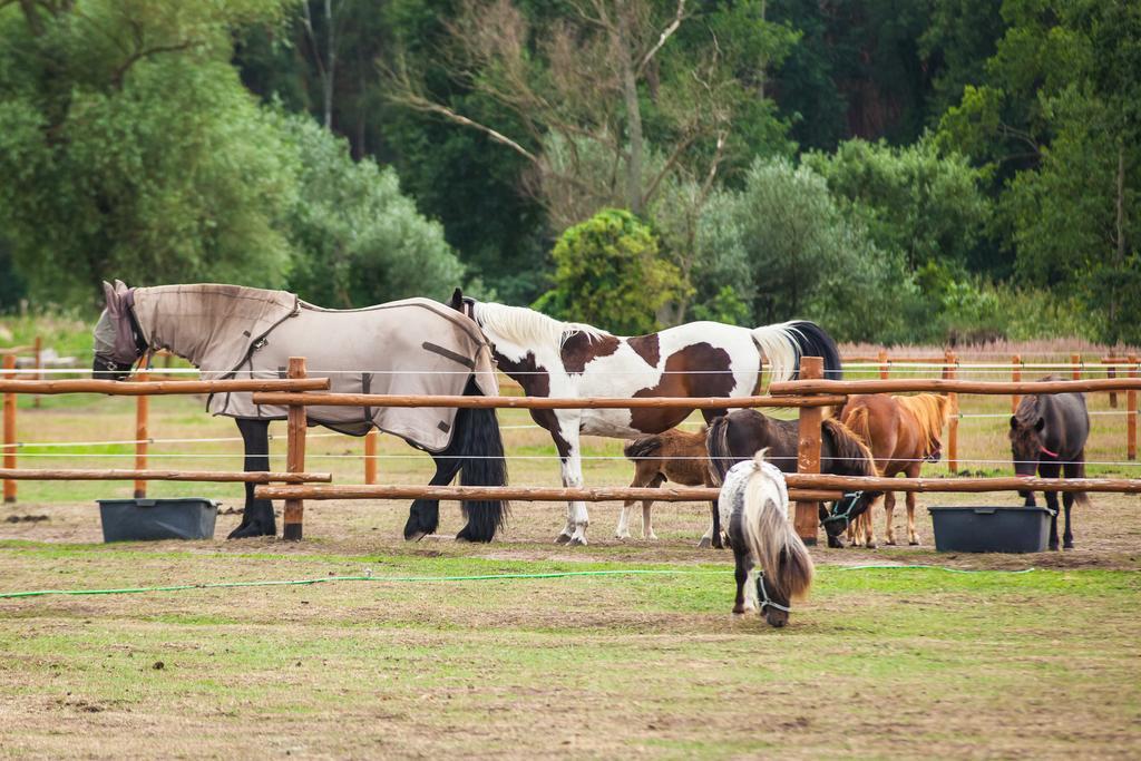 Feniks Agro&Spa Adults Only Świnoujście Εξωτερικό φωτογραφία